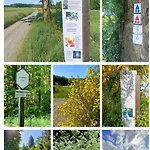 La Clef Des Bois Paliseul