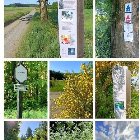 La Clef Des Bois Paliseul